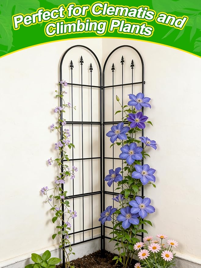 2 Pack Garden Trellis for Climbing Plants Outdoor - 16'' W x 71" H Large Rustproof Metal Plant Support Trellis, Decorative Panels for Climbing Rose, Clematis and Trumpet Vine