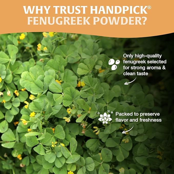 HANDPICK Fenugreek Powder (397g/14oz) Non GMO, Gluten Free, 100% Raw Methi Seeds, Sourced from India, For Cooking, Packed in Resealable Ziplock Pouch