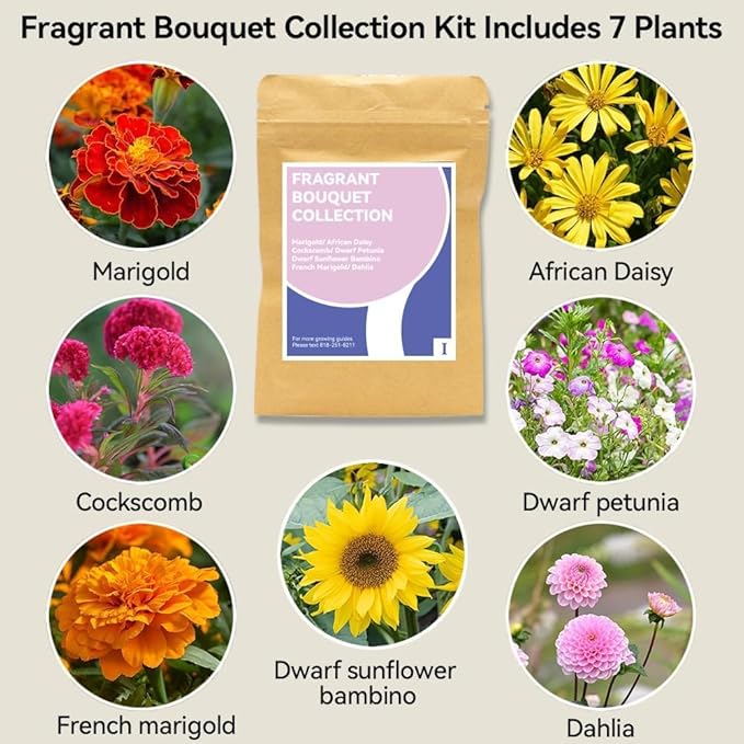 inbloom Fragrant Bouquet Flower Seed Pod Kit for AeroGarden, iDoo, Ahopegarden, GARDENCUBE, 7 Pods (350+ Flower Seeds with Sunflower, Mexican Marigold, Cockscomb, French Marigold, Dahlia)