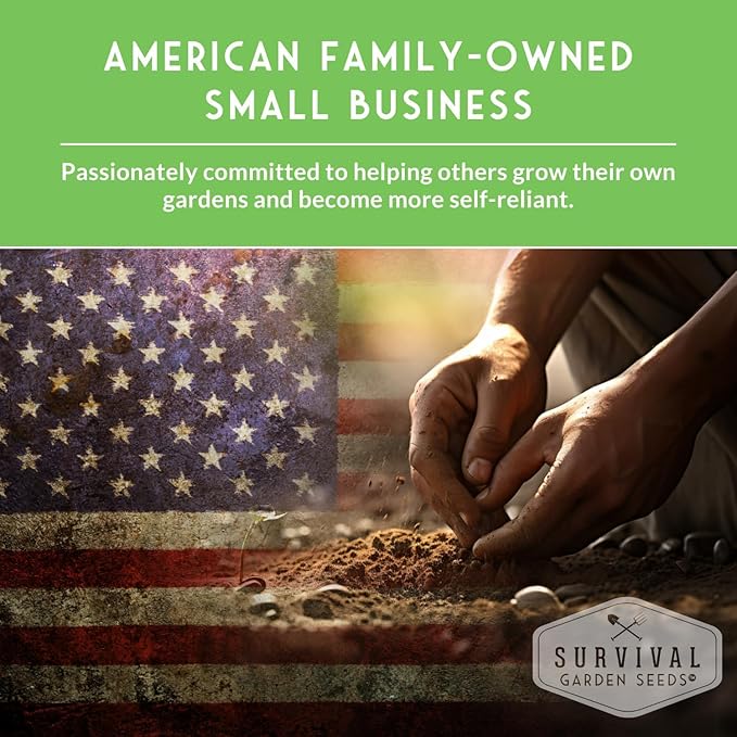 Survival Garden Seeds - Straightneck Summer Squash Seed for Planting - 5 Packets with Instructions to Plant and Grow Yellow Squash in Your Home Vegetable Garden - Non-GMO Heirloom Variety
