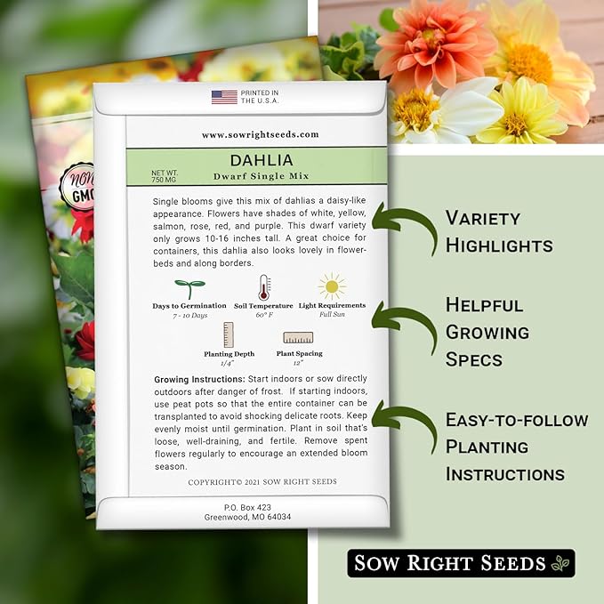 Sow Right Seeds - Dwarf Single Mix Dahlia Flower Seeds for Planting - Non-GMO Heirloom Packet - Rare Colors to Attract Pollinators - Cut and Come Again - Symmetrical Blooms Great for Bouquets (2)