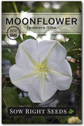 Sow Right Seeds - Moonflower (Ipomoea alba) Flower Seeds for Planting - Non-GMO Heirloom Flowers to Grow in Your Home Garden - Vining Plant for Beautiful Evening Blooms - Wonderful Gift (1)