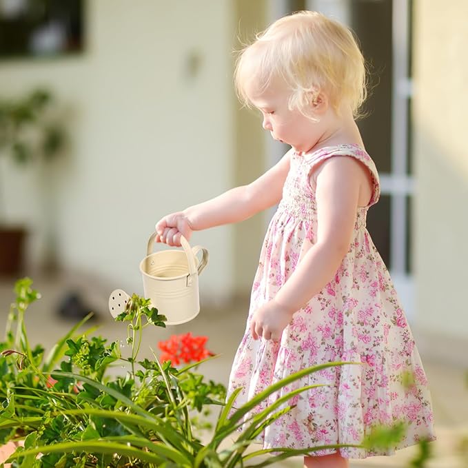 DECHOUS 5Pcs Small Metal Watering Can for Kids - 6.3x3 Inch Mini Flower Watering Pot for Indoor Plants, Assorted Colors, Small Sprinkling Kettle for Home Garden Outdoor