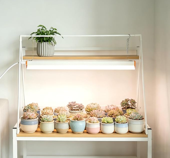 Grow Light Stand, 10W Grow Light kit for Indoor Plants, 2ft Plant Grow Rack, Full Spectrum, Enhanced red Light Good for Flowering, Height Adjustable, Iron Bracket, on and Off Switch