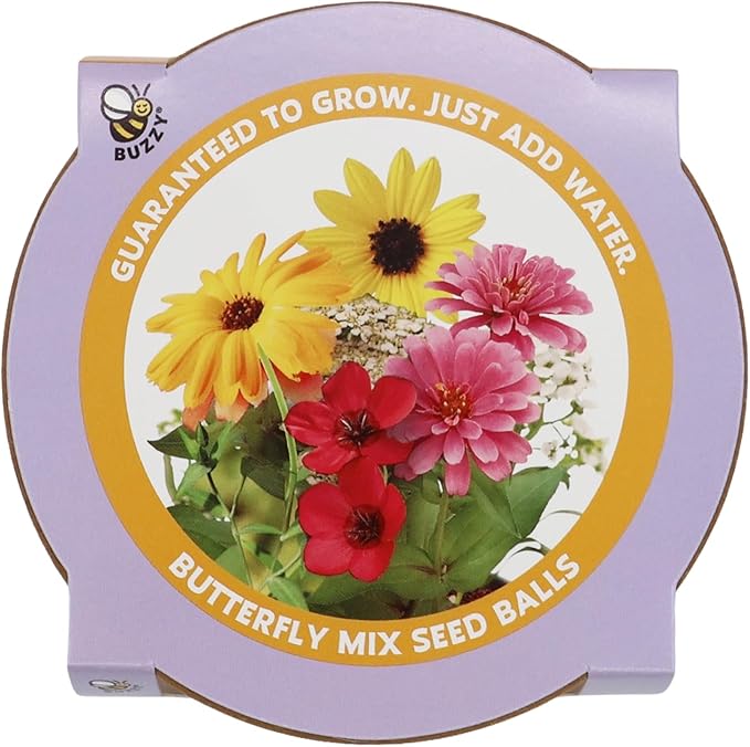 BUZZY Seeds 20 Colorful Wildflower Seed Balls – Toss, Scatter, and Grow a Garden of Bright Blooms, Over 50 Seeds Per Ball, Eco-Friendly Outdoor Flower Fun