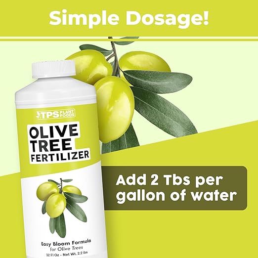 Olive Tree Fertilizer – Liquid Olive Tree Plant Food for Potted, Indoor & Outdoor Olive Trees, 32 oz
