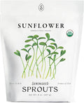 Organic Sunflower Sprout Seeds (8 oz) – Non-GMO, Heirloom Seeds for Sprouting and Microgreens