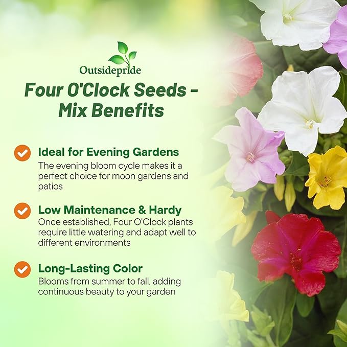 Outsidepride Mixed Four O'clock Flower Seeds - 5 lb Perennial Fragrant, Trumpet-Shaped Blooms, Deer-Proof & Easy to Grow, for Pollinator & Evening Gardens, Containers, Hedges, or Borders