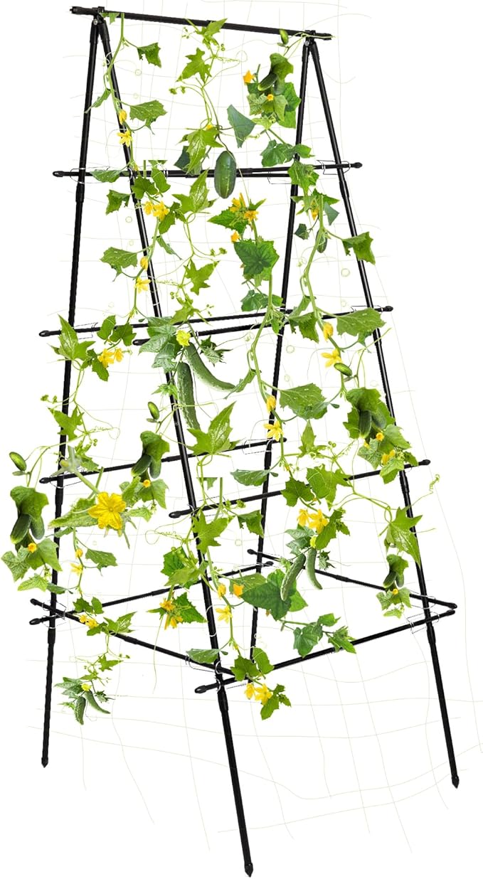 HPC Decor Cucumber Trellis for Raised Bed, 6 FT Tall Garden Trellis for Climbing Plant Outdoor, Metal A Frame Trellis with Climbing Net, Support for Vegetable, Grape, Tomato, Peas, Fruit, Vine.