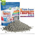 Triple Super Phosphate 0-46-0 Fertilizer - Made in USA - Bloom Booster - TSP Pure Phosphorus Plant Food for Indoor/Outdoor Plants and Flower Gardens - Fruit, Vegetables, Holistic Herbs, Trees & More!