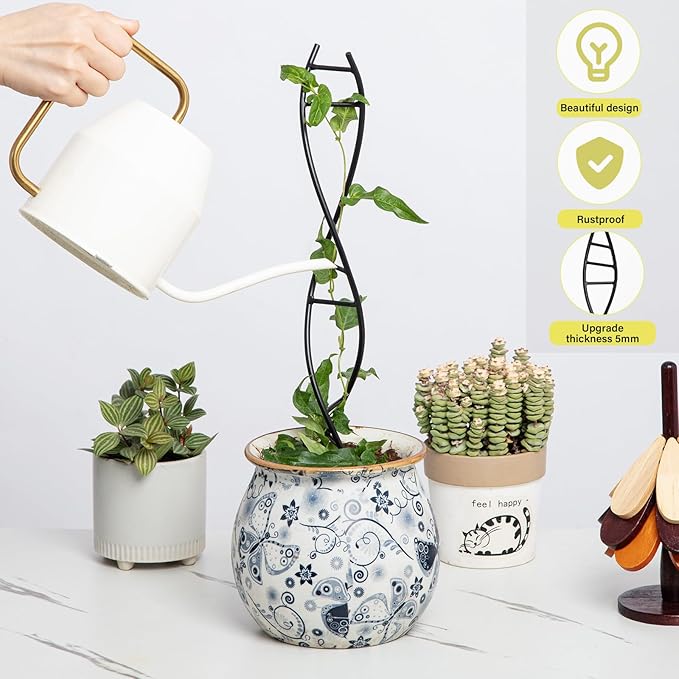 Yohsnor 3 Pcs Indoor Plant Trellis Set - Black Metal DNA Design for Potted Plants, Small Houseplants & Climbing Support - Modern Home Decor & Vertical Garden Display - Perfect for Indoor & Outdoor Use