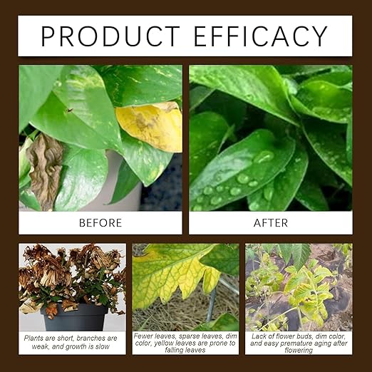 Soil Pro Activator for Plants, Organic Soil Pro Activators and Plant Fertilizers, Lawn & Garden Soil Conditioner, Promotes Root Growth & Nutrient Uptake (3Pcs)