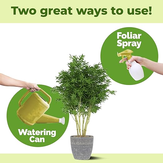 Bamboo Plant Food, Complete Liquid Bamboo Fertilizer, 32 oz (1 Quart)