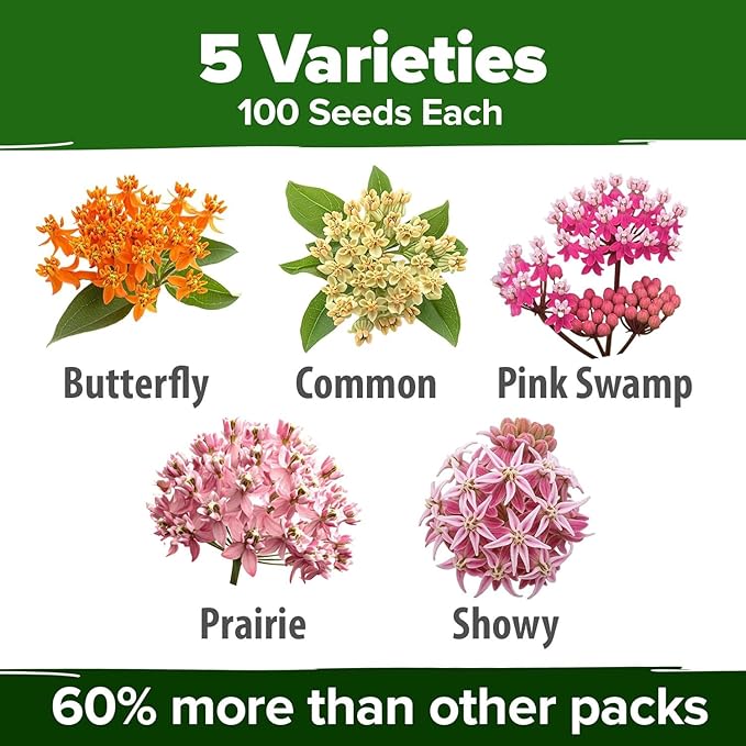 HOME GROWN Milkweed Seeds for Planting - 5 Varieties (Butterfly, Common, Pink Swamp, Prairie, Showy) 500+ Heirloom Non-GMO Seeds - Pollinator Garden Starter Kit for Monarch Butterflies