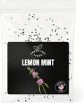 Lemon Mint Seeds (Monarda citriodora) for Planting – 200+ Heirloom Non-GMO Seeds, Lemon Scented Tea Herb & Pollinator Flower, High Germination, Indoor Outdoor Growing