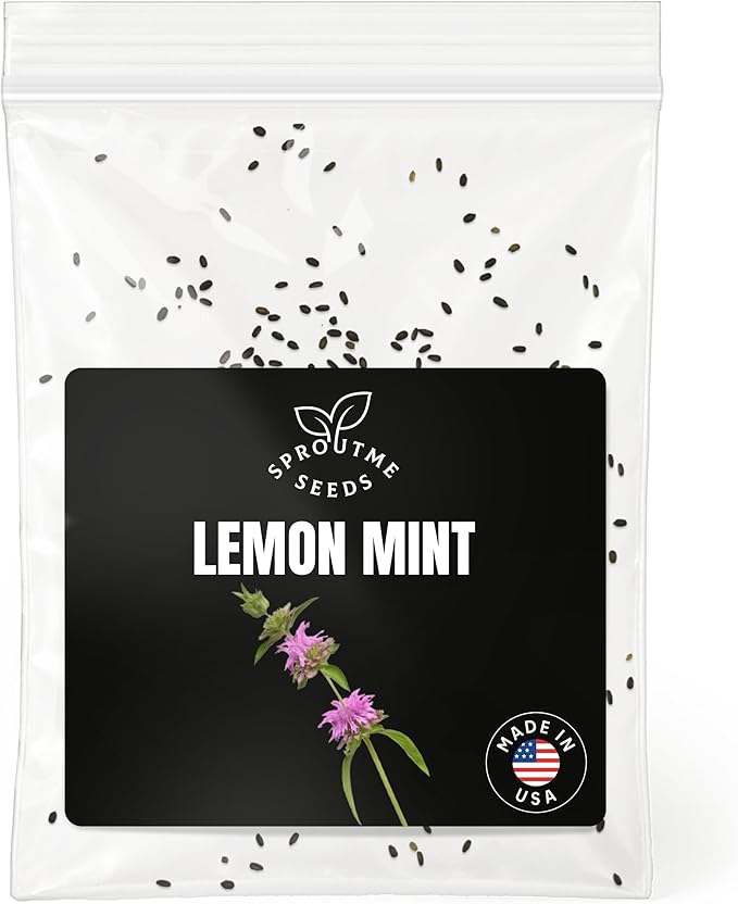 Lemon Mint Seeds for Planting – 200+ Non-GMO Heirloom Fragrant Pollinator Flower and Herbal Tea Plant, High Germination (Monarda citriodora)