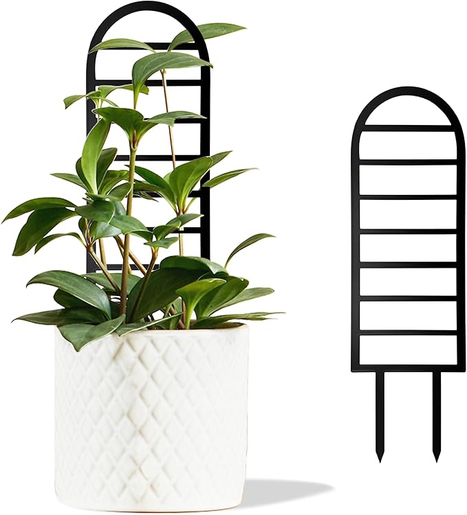 Metal Ladder Arch Indoor Plant Trellis,14.96 inch Metal Plant Trellis for Climbing Plants Indoor.Rustproof House Plant Support for Pothos Hoya Ivy Flower