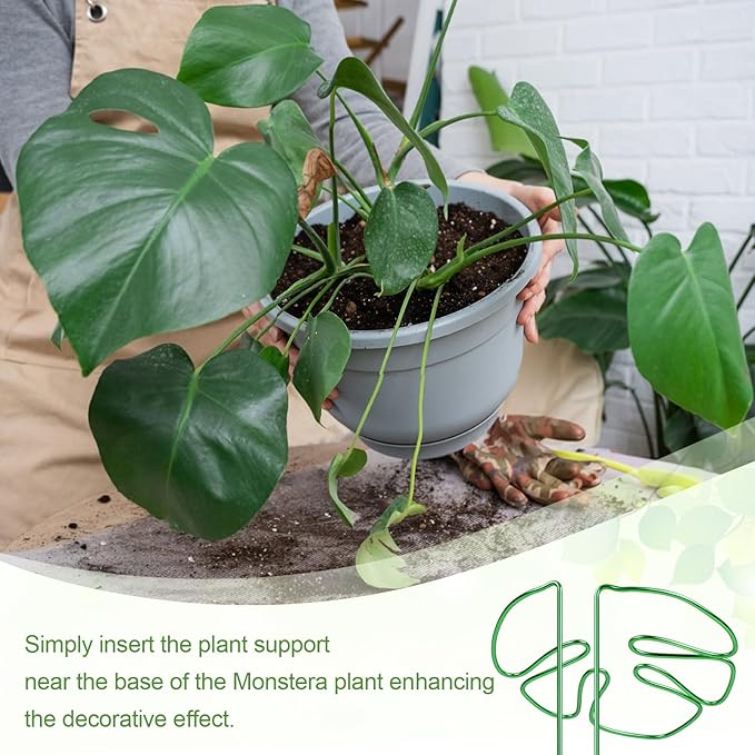 2 pcs Monstera Plant Support,Unique Monstera Shaped Plant Support Ring,Plant Support Stakes for Outdoor Plants and Indoor Plants (Green)