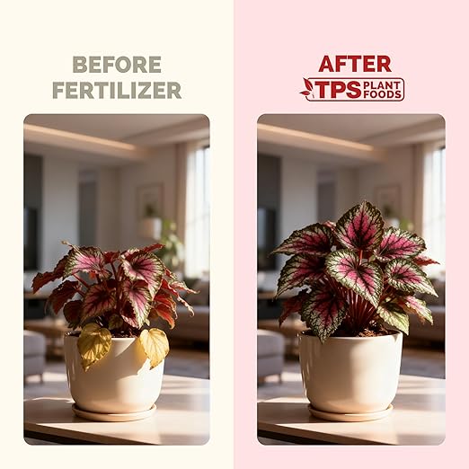 Begonia Fertilizer- Liquid Plant Food for All Begonias, Promotes Healthy Growth & Vibrant Foliage, 8 oz