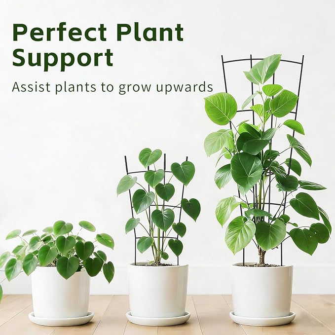 Trellis for Climbing Plants Indoor, 4 Pack 31'' Metal Plant Trellis Indoor for Potted Plants, Sturdy Plant Support Outdoor for Ivy Pothos Monstera Hoya Flower Vine, Fan Shape