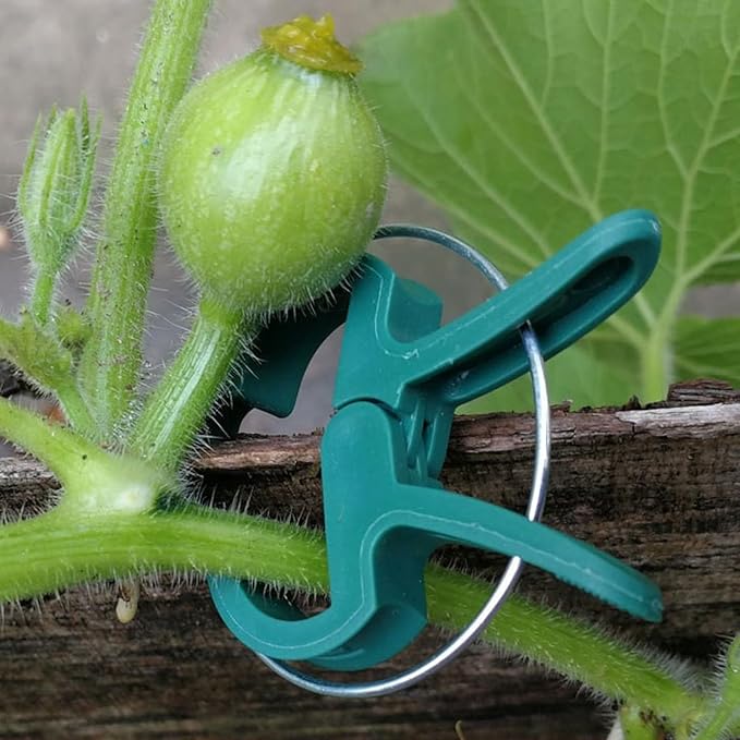 100PCS Tomato Clips Garden Plant Clips | Durable Green Grippers for Tomato Cages, Bamboo Stakes, Vines & Stems | Versatile Support, Training & Trellis Clip for Plant