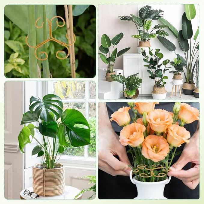 Iron Monstera Support, 3 PCS Plant Stem Support Plant Support Stakes for Indoor Plants and Flowers Stable Plant Stakes and Supports Turtle Shell Bamboo Clamp Set for Thriving Growth