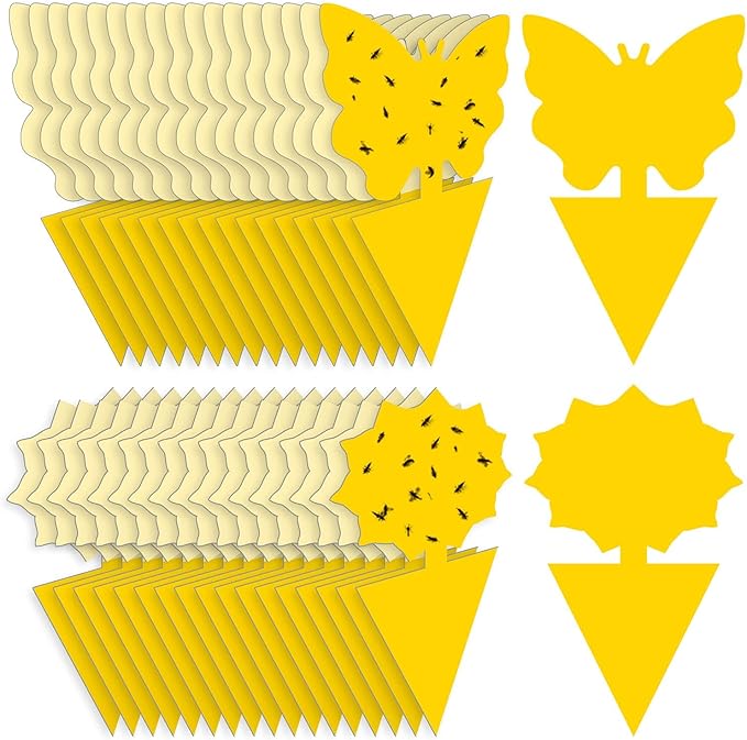 72PCS Fruit Fly Sticky Traps Fungus Gnat Traps Insect Trap for Plants Kitchen Indoor Outdoor White Flies Mosquitos Fungus Gnats Flying Insects Houseplant Gifts