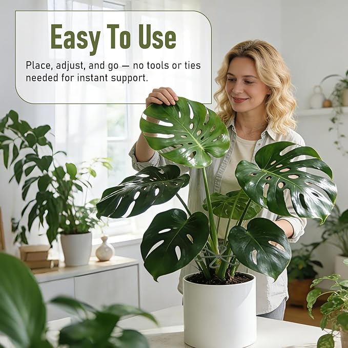 40PCS Forest Green Plant Stem Support, Invisible Stem Supports for Indoor Plants, Plastic Reusable Plant Support Clips, Indoor Plants Accessories