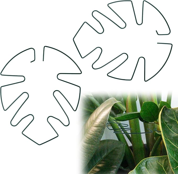 BOXOB 2pcs Monstera Leaf Plant Support, Metal Climbing Plant Stem Supports Monstera Shaped Plant Stand Ring Houseplant Stabilizer Grapple Holder to Keep Plants Growing Vertical (Green)