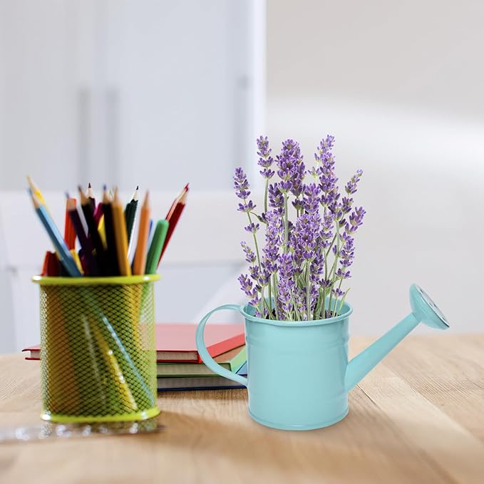Decorative Mini Tin Watering Can - 0.05Gal Cute Metal Jug for Hand Crafts,Garden-Theme Parties,Plant Pots, Home Decor,Housewarmings, Fun Birthday Gift for Girls and Boys (PP/B, S)