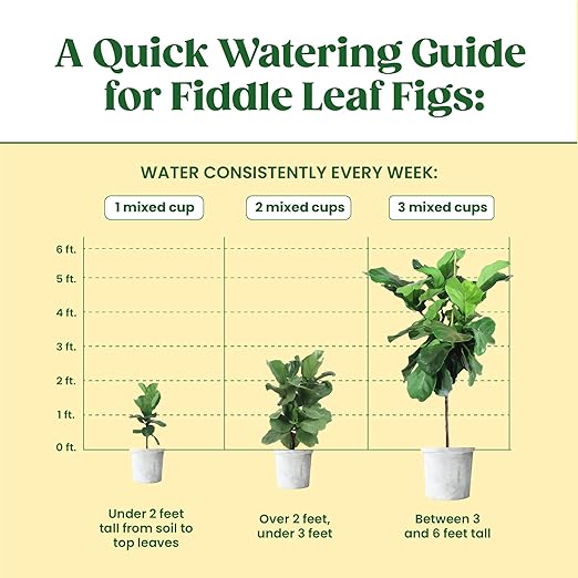Root Rot Treatment & Plant Transplant Shock Recovery – Liquid Supplement for Indoor Plants, Fiddle Leaf Fig, Monstera & Pothos | Heals Roots, Prevents Brown Spots & Leaf Drop, 8 oz – Vital Root+