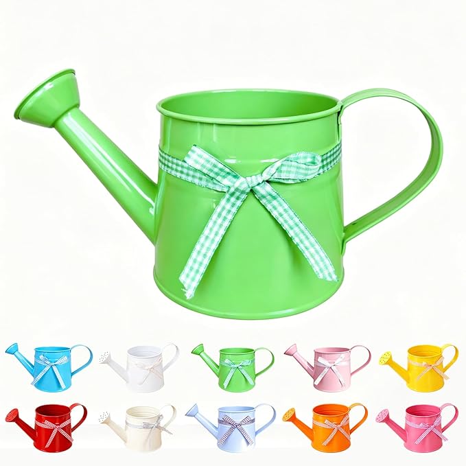 White Metal Watering Can 1 Gallon, Small Galvanized Steel Watering Can with Sprinkler Head for Indoor and Outdoor Plants, Vintage Decorative Gardening Tool (Green)
