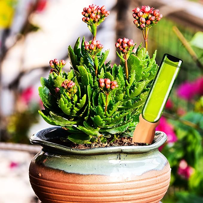 Tcamp 8Pack Plant Self Watering Spikes, Terracotta Plant Watering Devices Wine Bottle Plant Self-Watering Stakes for Indoor Outdoor Plants