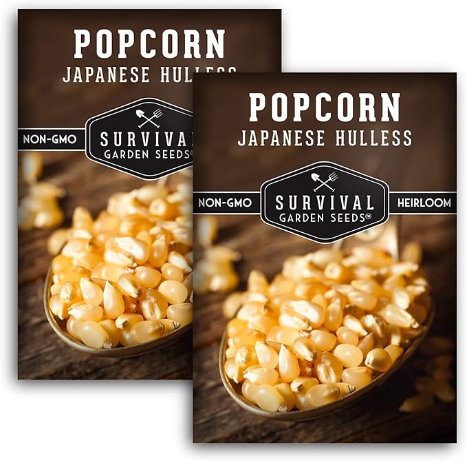 Survival Garden Seeds - Japanese Hulless Popcorn Seed for Planting - 2 Packets with Instructions to Plant and Grow Delicious Kernel Popcorn in Your Home Vegetable Garden - Non-GMO Heirloom Variety