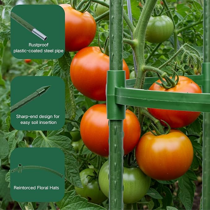 Tomato Cages for Garden&Pots, 2 Pack 50" Plant Support Trellis for Tomatoes, Cucumbers, Beans | Heavy-Duty Steel with Rust-Proof Coating | Garden Stakes for Outdoor Indoor Plants