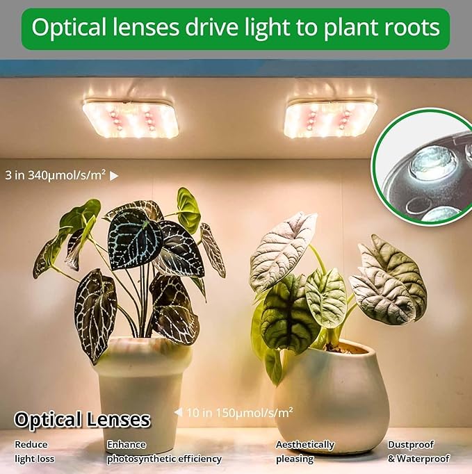 DOMMIA Full Spectrum LED Grow Light for Indoor Plants, 2 Panels 10W with 6/12/16h Timer Dimmable Plant Lights for Flower Veg Plant Growth USB, Soft White, 1-Pack