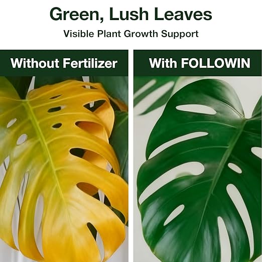 FOLLOWIN Monstera Fertilizer Liquid, 3-1-2 NPK Tropical Plant Food for Indoor Houseplants, Water Soluble Concentrated Formula with Micronutrients for Deliciosa Adansonii Albo Variegata, 21 fl oz