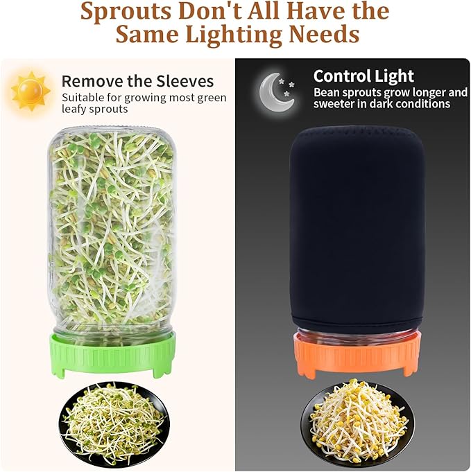 Seed Sprouting Kit with Radish 80g, 2 Large Wide Mouth Mason Jars with Sprout Lids, Blackout Sleeves, Drain Tray, Stainless Steel Stand, Sprouts Growing Kit for Growing Bean Alfalfa Sprout Seeds
