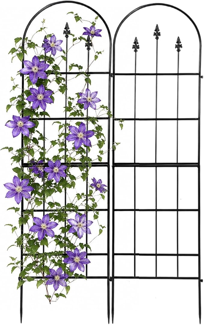 2 Pack Garden Trellis for Climbing Plants Outdoor - 16'' W x 59" H Large Rustproof Metal Plant Support Trellis, Decorative Panels for Climbing Rose, Clematis and Trumpet Vine