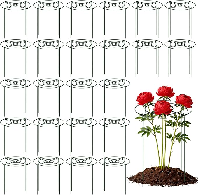 Geelin 24 Pack Peony Cages Bulk 12 x 16'' Peony Cage and Supports for Outdoor Plants Grow Through Heavy Duty Metal Plant Supports Frame Rings Hoops 4 Legs for Flowers Tomato Rose Hydrangea Strawberry