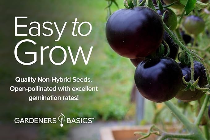 Gardeners Basics, 5 Rare Tomato Seeds for Planting Variety Pack Heirloom Tomato Seeds, Cherokee Purple, Black Krim, Pineapple, Green Zebra, Black Cherry, Determinate and Indeterminate & More, Non GMO
