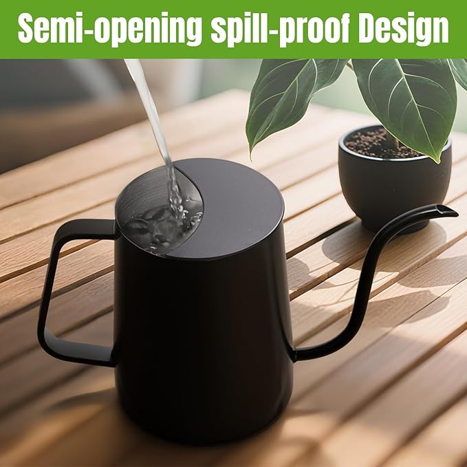 34 oz / 1000 ml Watering Can Indoor Plants, Stainless Steel Plant Watering Can with Long Spout (Black)
