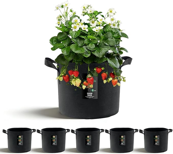 Dipuosile 6-Pack 5 Gallon Grow Bags, Heavy Duty 300G Thickened Nonwoven Plant, Fabric for Tomato,Potato,Vegetables, and Flowers