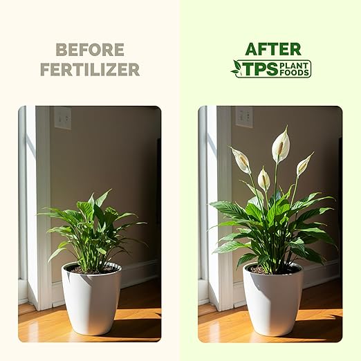 Peace Lily Fertilizer – Liquid Peace Lily Plant Food for Indoor Plants, Supports Blooming & Healthy Growth, 32 oz