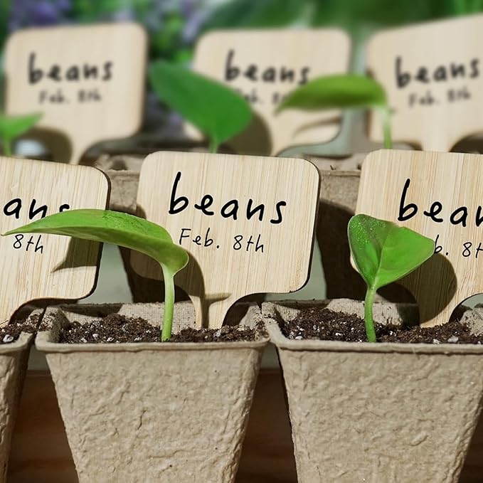 OBTANIM 75 Pack Bamboo Cloud Plant Labels with A Marker Pen, Garden Markers Sign Plant Tags for Seedling Potted Herbs Flowers Vegetables