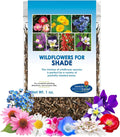 BBB Seed Partial Shade Wildflower Seeds - 1 oz Packet, Open-Pollinated Wildflower Seed Mix, No Fillers, Annual, Perennial Wildflower Seeds for Planting Year Round - 1 oz