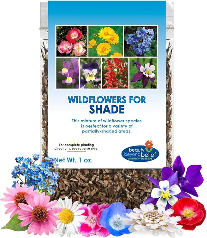 BBB Seed Partial Shade Wildflower Seeds - 1 oz Packet, Open-Pollinated Wildflower Seed Mix, No Fillers, Annual, Perennial Wildflower Seeds for Planting Year Round - 1 oz