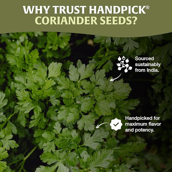 HANDPICK Whole Coriander Seed (283g/10oz) Premium Grade | Pure & Flavorful Coriander Seeds - Indian Origin | Non GMO, Gluten Free | Perfect for Cooking & Seasoning | Resealable Ziplock Pouch