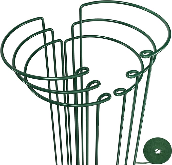 AMAGABELI GARDEN & HOME 6 Pack Plant Support Stakes 10" W x 24" H Heavy Duty Half Round Peony Cage Metal Garden Support Structures Plant Cage with Ties for Indoor Flower Tomato Hydrangea Monstera