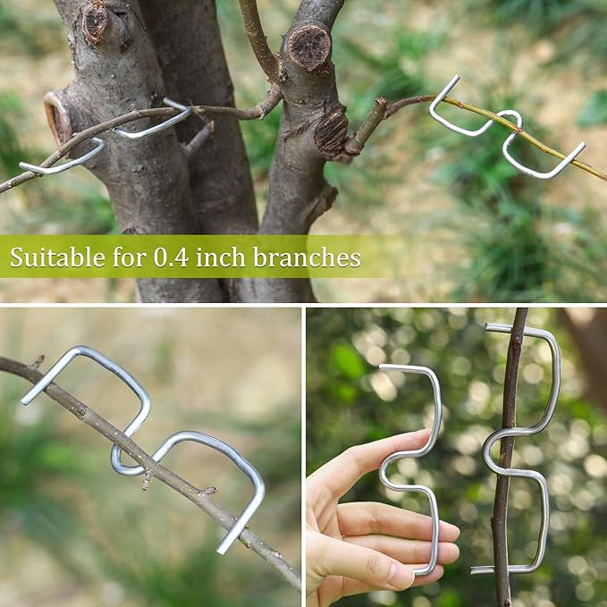 MorningRo 50 Pcs Fruit Tree Limb Spreaders Plant Tying Machine Puller Branchs Preaders Plum Tree Open Angle Pull Branch Stereotyped Tying Bending Farm Tools, M-5.12(Inch), Galvanized